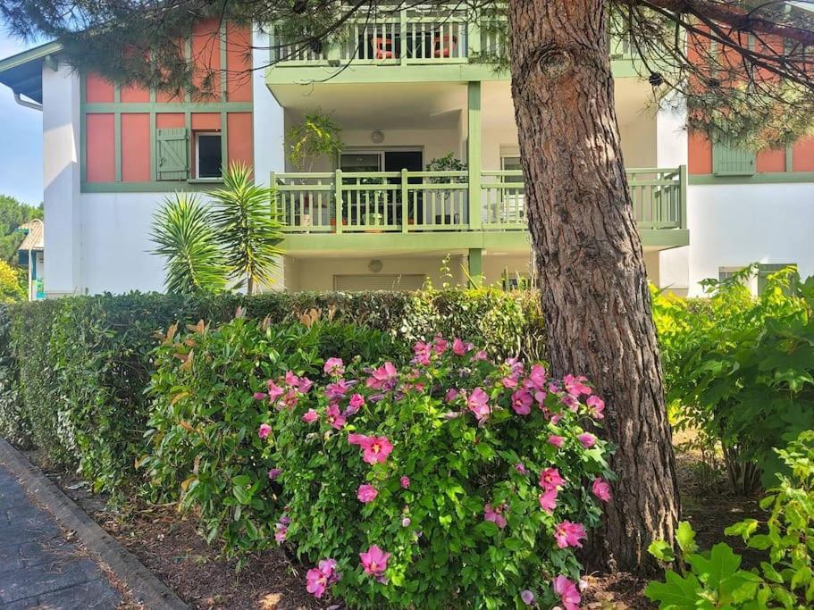Berges Landaises - Grand T2 Avec Terrasse Exposee Sud Est Apartment *